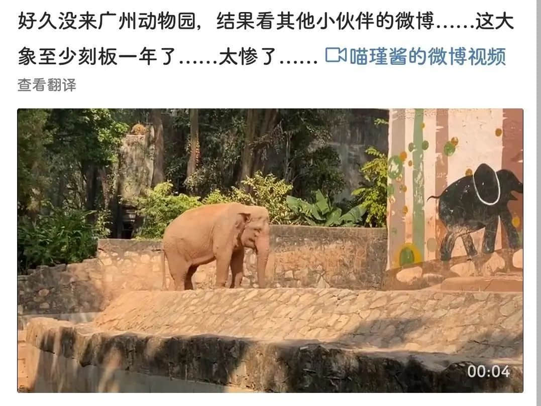 广州动物园,这次真的要非搬不可了吗? 广州动物园,这次真的要非搬不可了吗?
