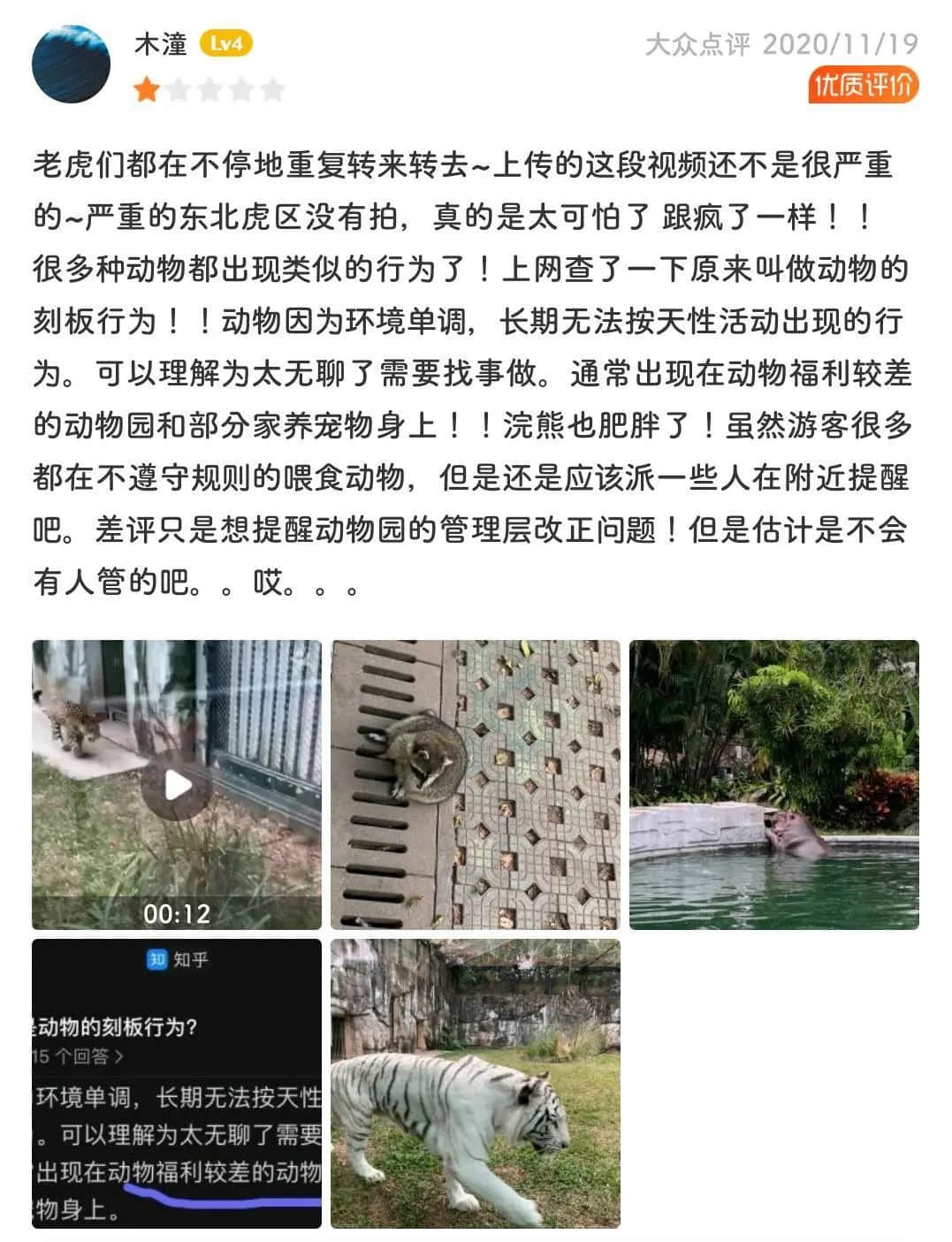 广州动物园,这次真的要非搬不可了吗? 广州动物园,这次真的要非搬不可了吗?