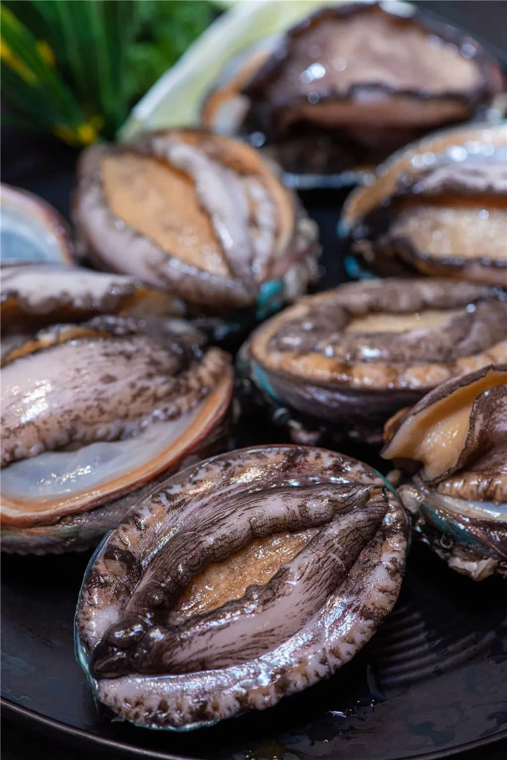 粤剧离不开地道粤语,正如美味不能没有新鲜食材 粤剧离不开地道粤语,正如美味不能没有新鲜食材
