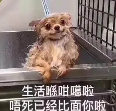 “为年会奋不顾身的我,穿上了老婆的蓬蓬裙......” “为年会奋不顾身的我,穿上了老婆的蓬蓬裙......”