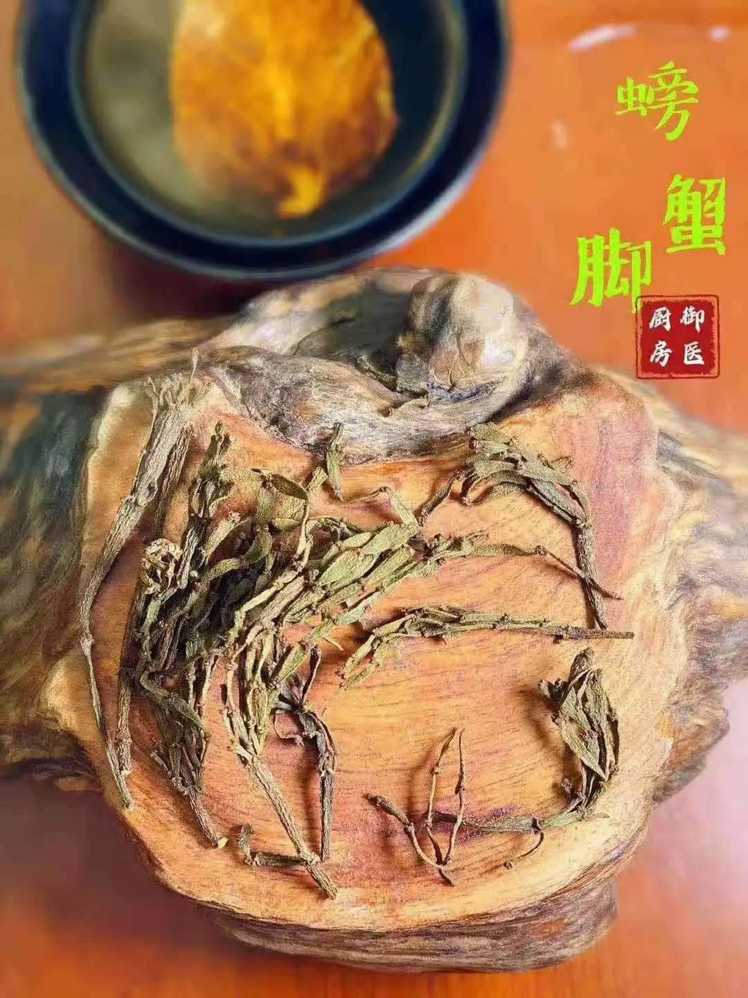 惊蛰，为何身边的蛇虫鼠蚁多了起来？