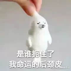 我,广州户口,第一次畀人嫌弃...... 我,广州户口,第一次畀人嫌弃......
