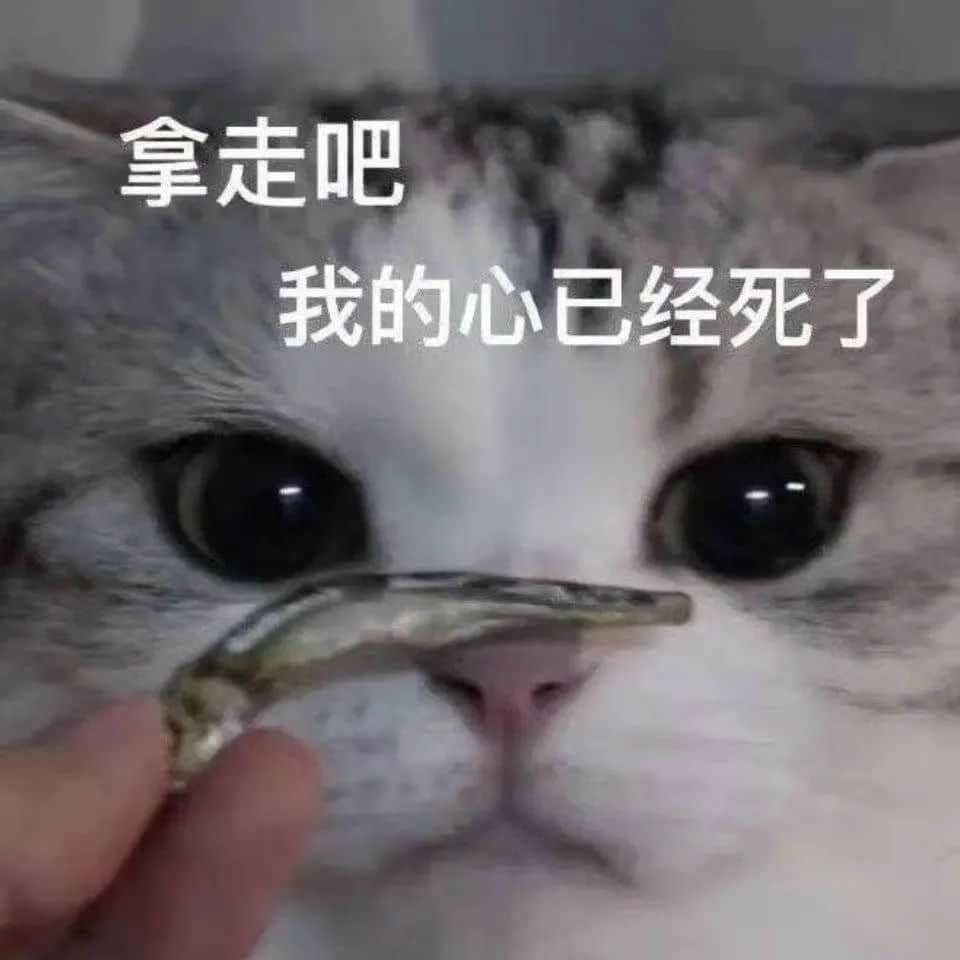 我,广州户口,第一次畀人嫌弃...... 我,广州户口,第一次畀人嫌弃......