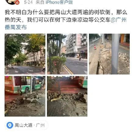 疫情总会消退，但被杀死的榕树却再也回不来