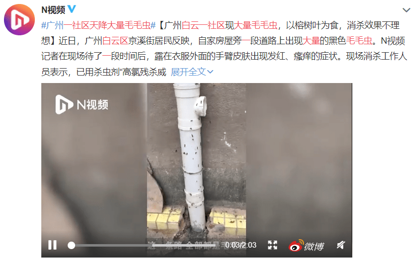 疫情总会消退，但被杀死的榕树却再也回不来