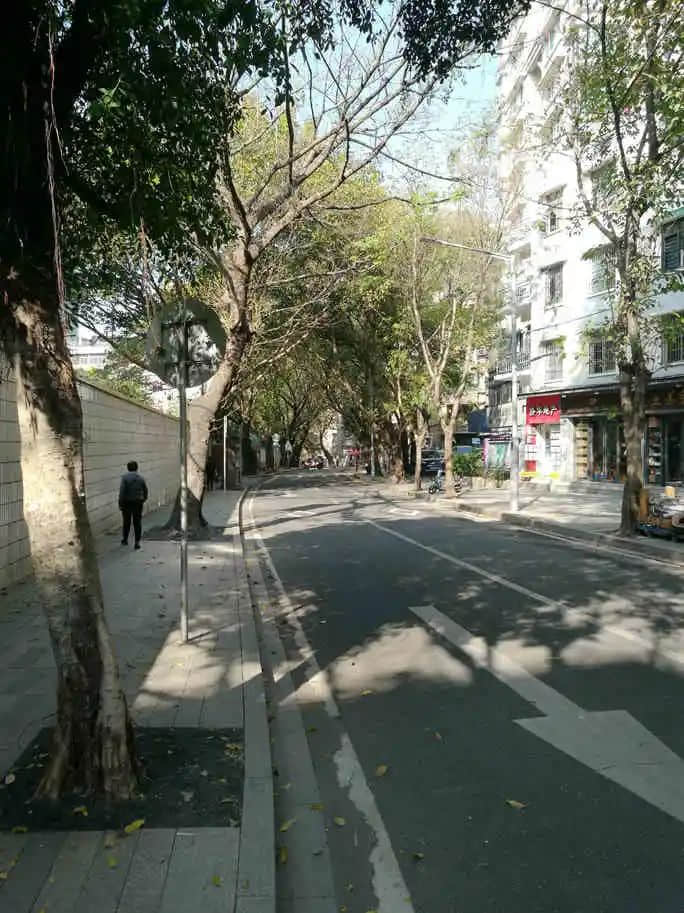行走梅花村，要上知天文，下知地理