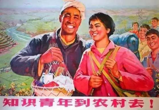 知青阿仪的一生 知青阿仪的一生