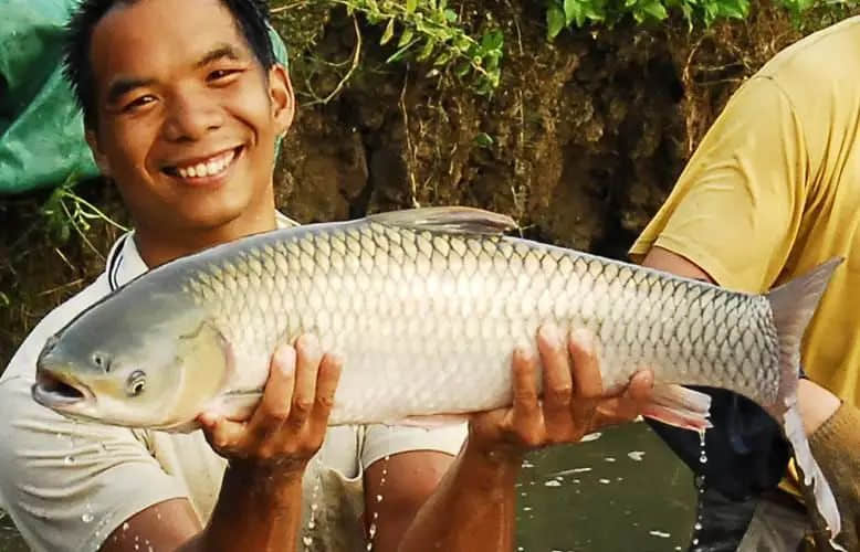 这些米其林看不上的地道广东美食，你试过多少道？