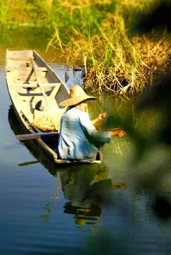 民以食为天（莫依慈）