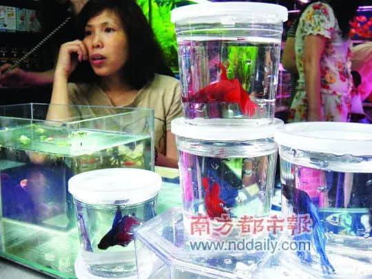 广州最惨古街:反复拆建后荒废十年,丢了历史也失了人气 广州最惨古街:反复拆建后荒废十年,丢了历史也失了人气
