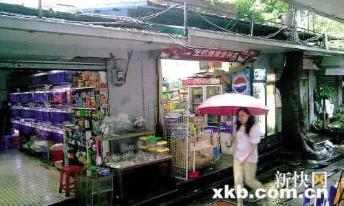广州最惨古街:反复拆建后荒废十年,丢了历史也失了人气 广州最惨古街:反复拆建后荒废十年,丢了历史也失了人气