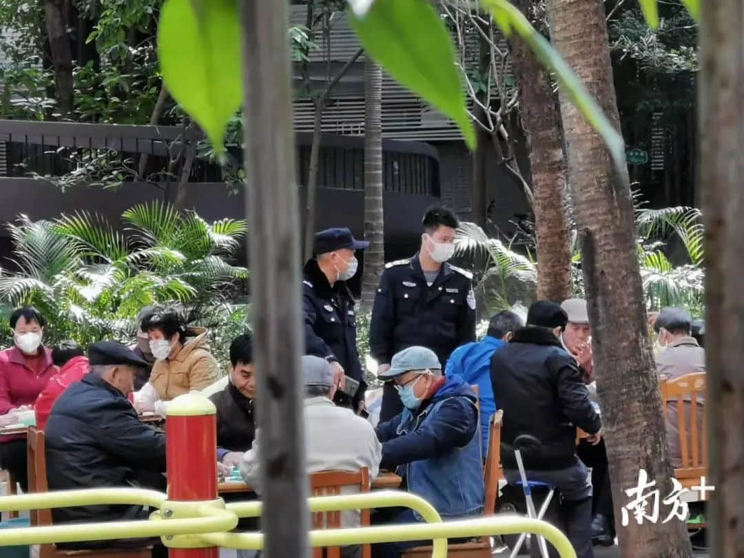 花都有疫情啦,树还会远吗?不如在家打麻雀吧! 花都有疫情啦,树还会远吗?不如在家打麻雀吧!
