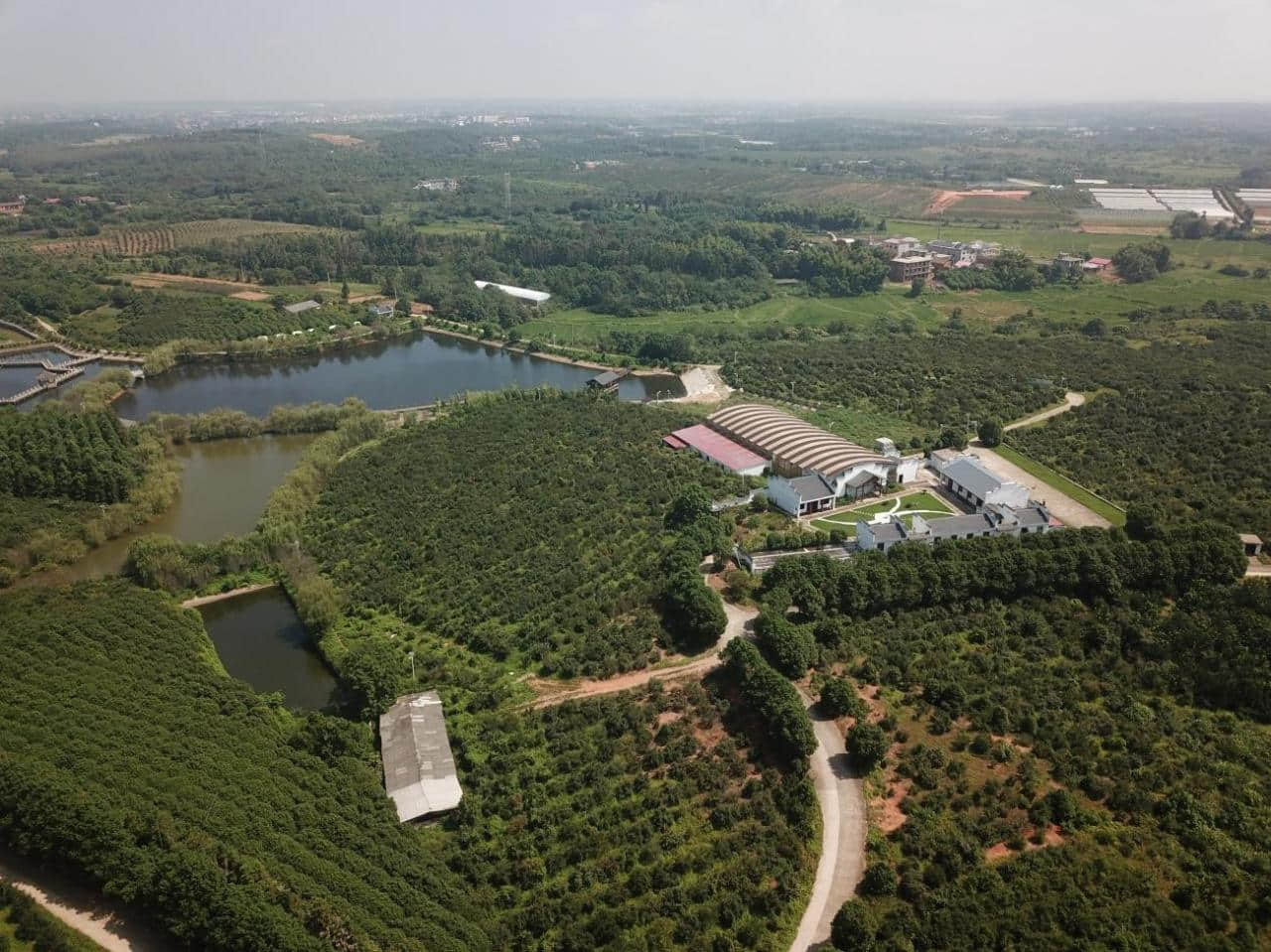 (江西绿源油脂实业有限公司——油茶基地)