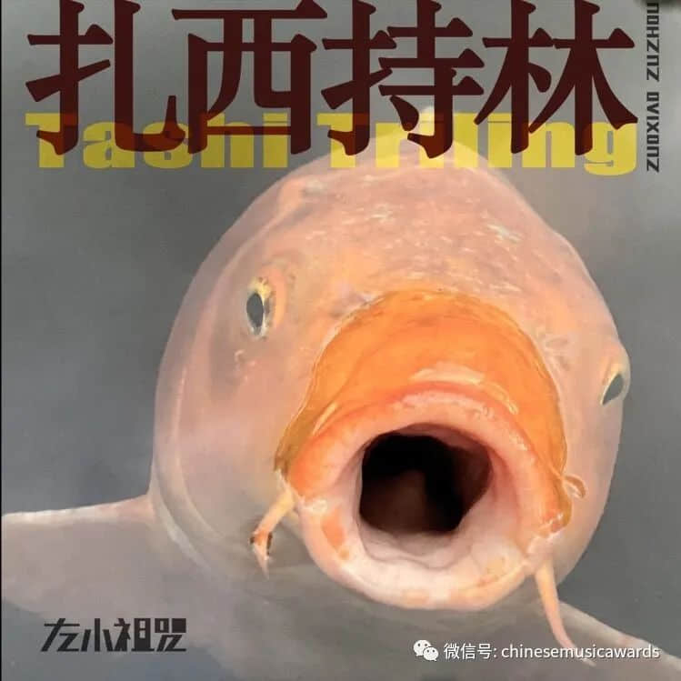 云中漫唱——第十三届华语金曲奖“云颁奖” “摇滚先锋”左小祖咒尝试心灵音乐