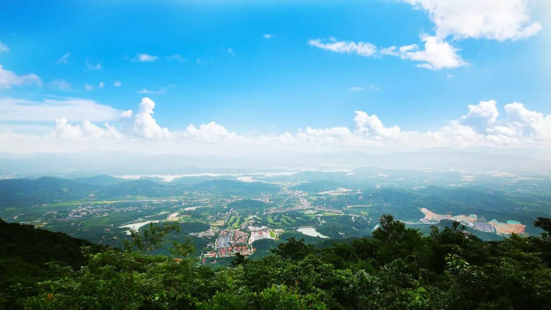 在流行基因检测的时代,我们为什么还要学中医? 在流行基因检测的时代,我们为什么还要学中医?