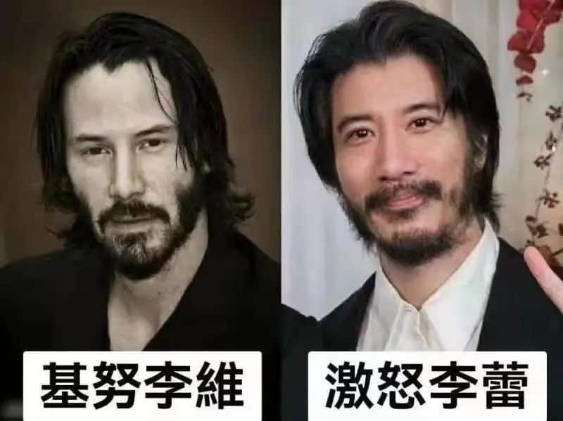薇娅被罚13.41亿,都怪王力宏在花田里犯了错 薇娅被罚13.41亿,都怪王力宏在花田里犯了错