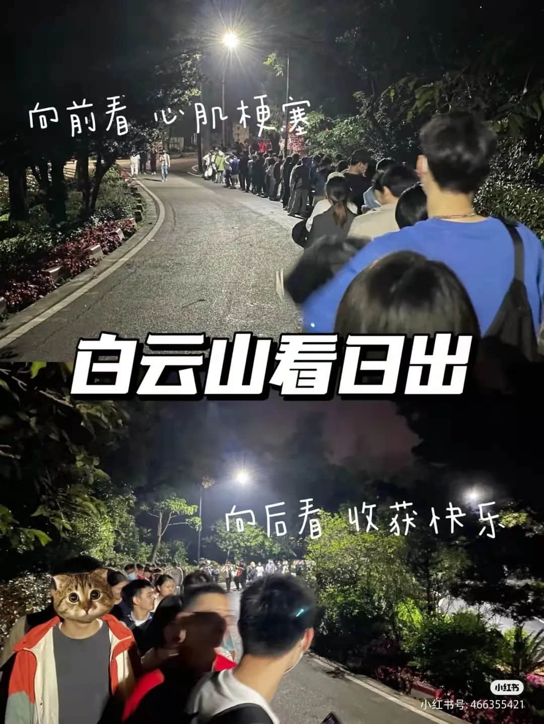 拆掉“笨猪跳”的白云山，正成为广州年轻人凌晨三点夜爬圣地