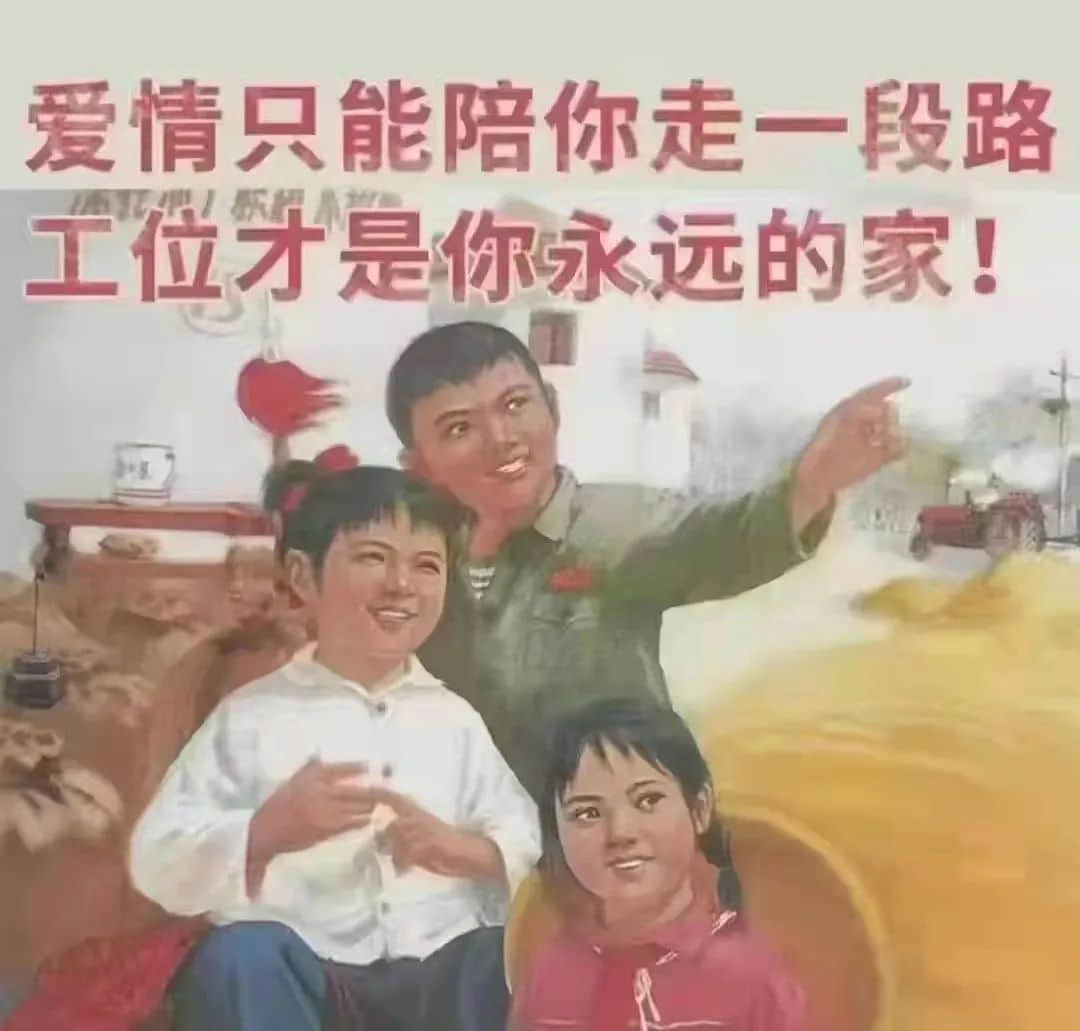 《 2 0 2 2 年 情 人 节 图 鉴 》 《 2 0 2 2 年 情 人 节 图 鉴 》