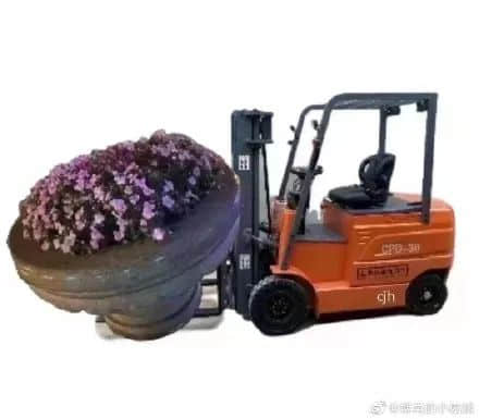 《 2 0 2 2 年 情 人 节 图 鉴 》 《 2 0 2 2 年 情 人 节 图 鉴 》