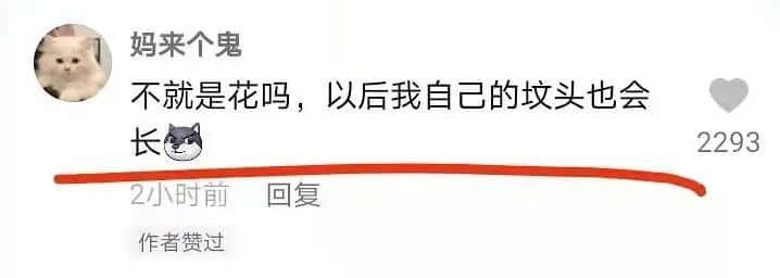 《 2 0 2 2 年 情 人 节 图 鉴 》 《 2 0 2 2 年 情 人 节 图 鉴 》