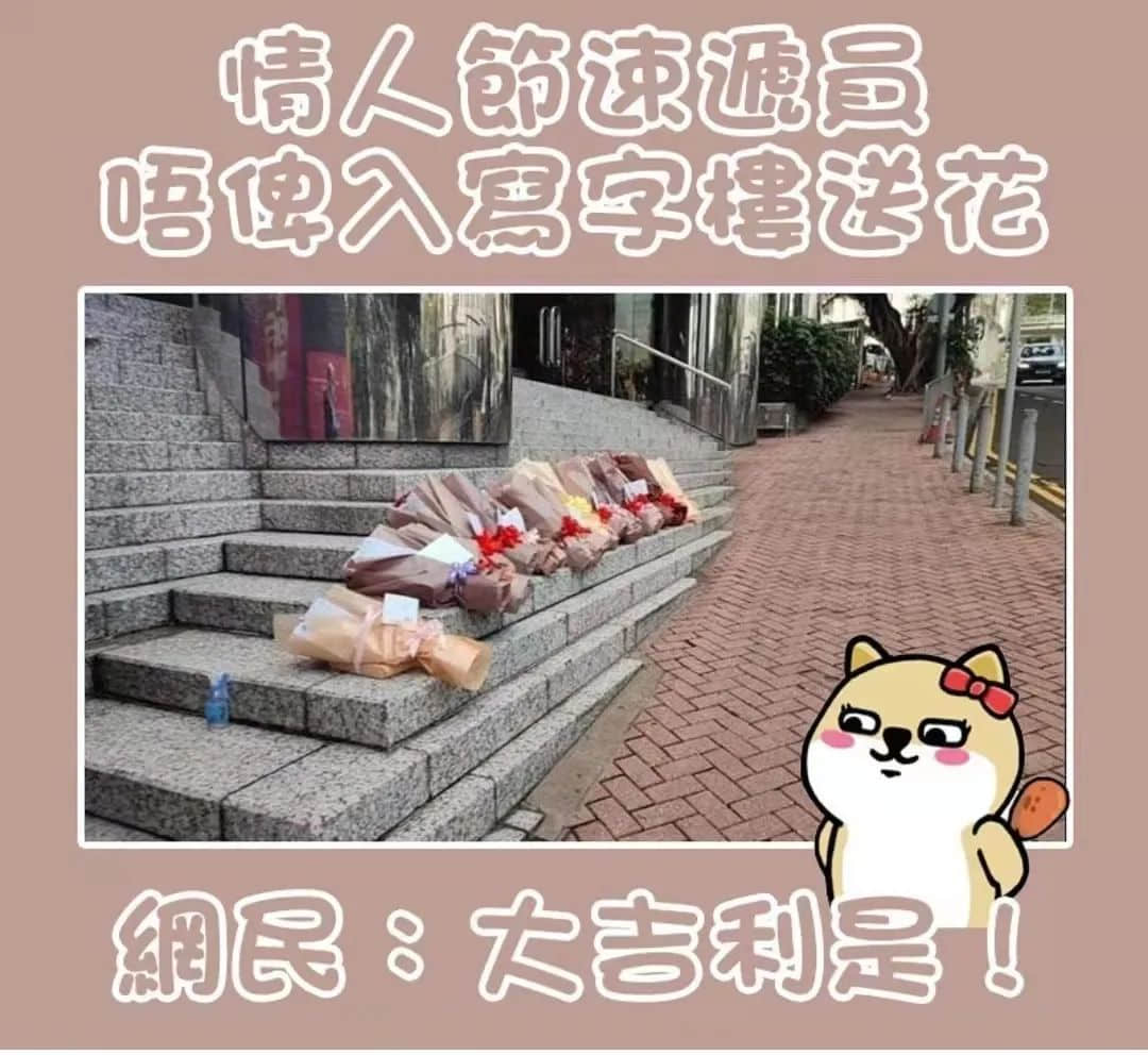 《 2 0 2 2 年 情 人 节 图 鉴 》 《 2 0 2 2 年 情 人 节 图 鉴 》