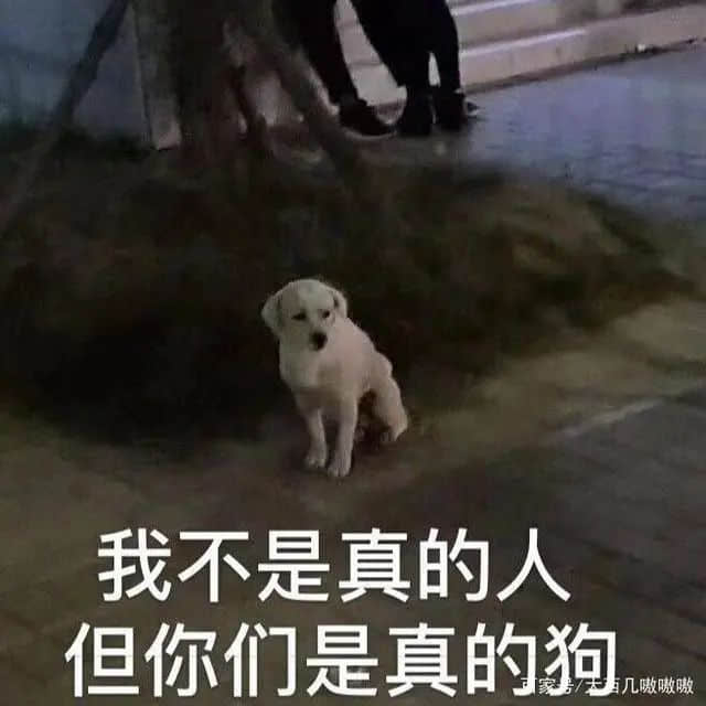 《 2 0 2 2 年 情 人 节 图 鉴 》 《 2 0 2 2 年 情 人 节 图 鉴 》