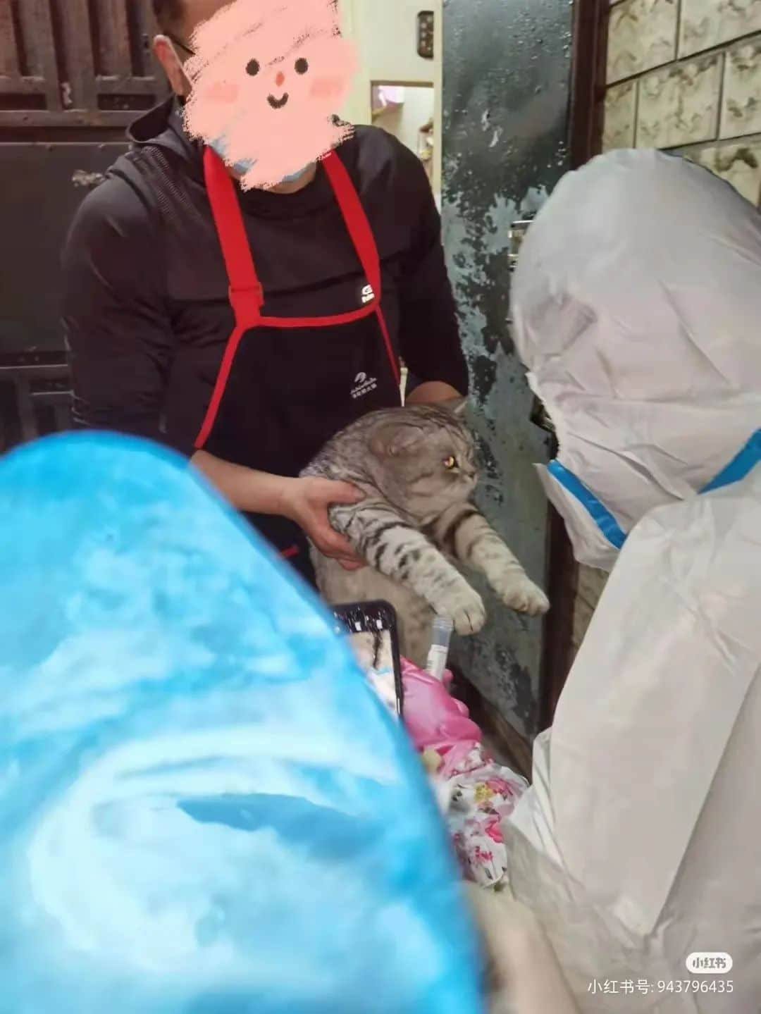 广东打工仔:疫情使我满身伤痕,身无分文 广东打工仔:疫情使我满身伤痕,身无分文