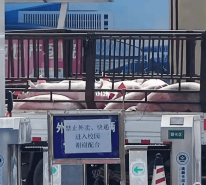 广东打工仔:疫情使我满身伤痕,身无分文 广东打工仔:疫情使我满身伤痕,身无分文