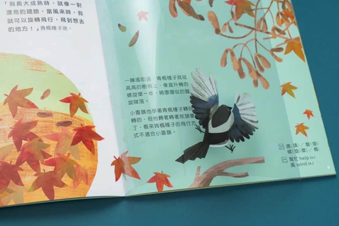 台湾省的教科书设计，中小学课本的“正确打开方式”！