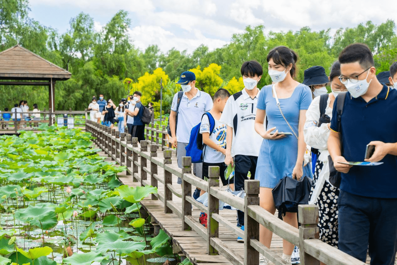 ▲ 南沙湿地景区