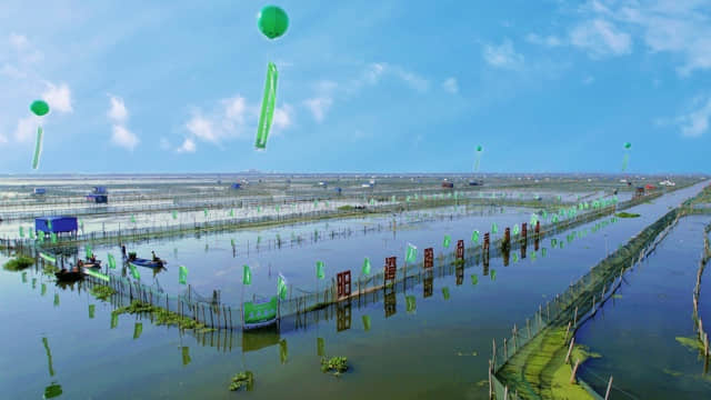 ▲美团买菜签约基地位于阳澄湖中湖核心产区 蒋鑫摄