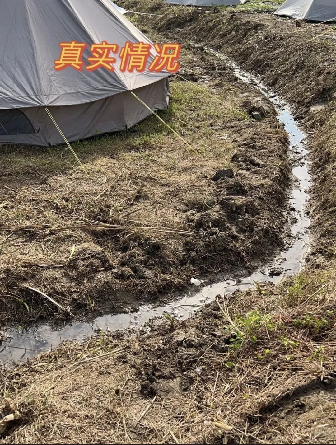 假期一帐难求，露营在广州还能火多久？