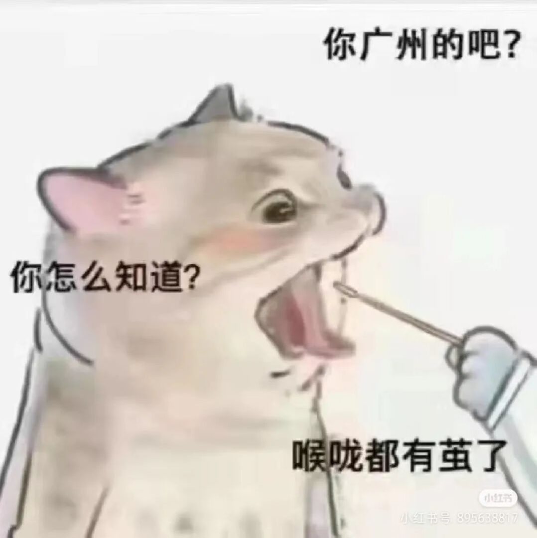 疫情下的广州人：返工就似开盲盒，返学就如赌大细