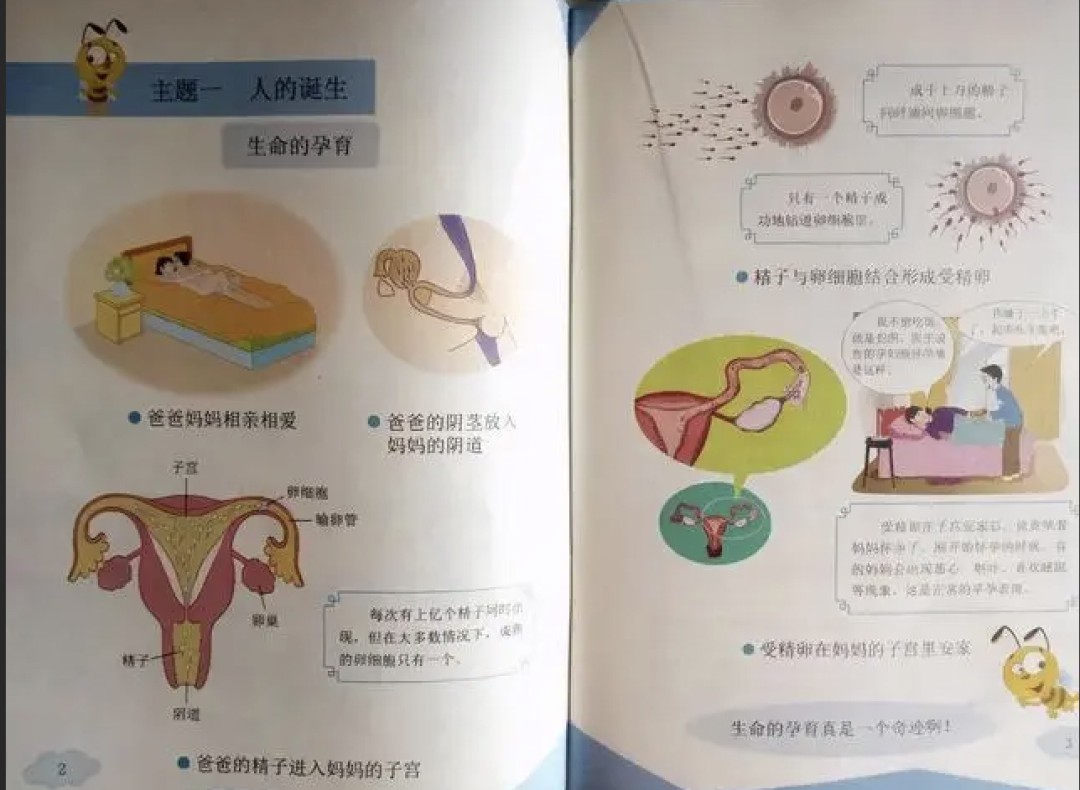 芳村某中学发生校园霸凌事件,谁来保护“少年的你”? 芳村某中学发生校园霸凌事件,谁来保护“少年的你”?