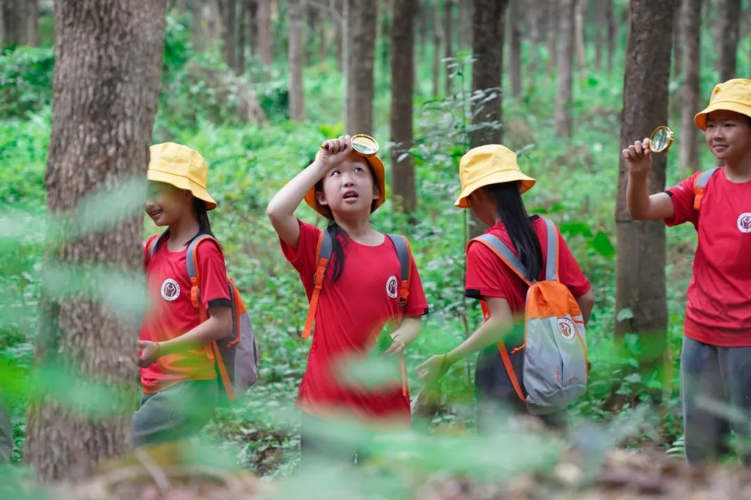 罗浮山泰学小学成为中华优秀传统文化现代化典范