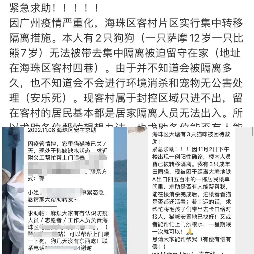 广州疫情封控不断加强，留守宠物谁来守护？