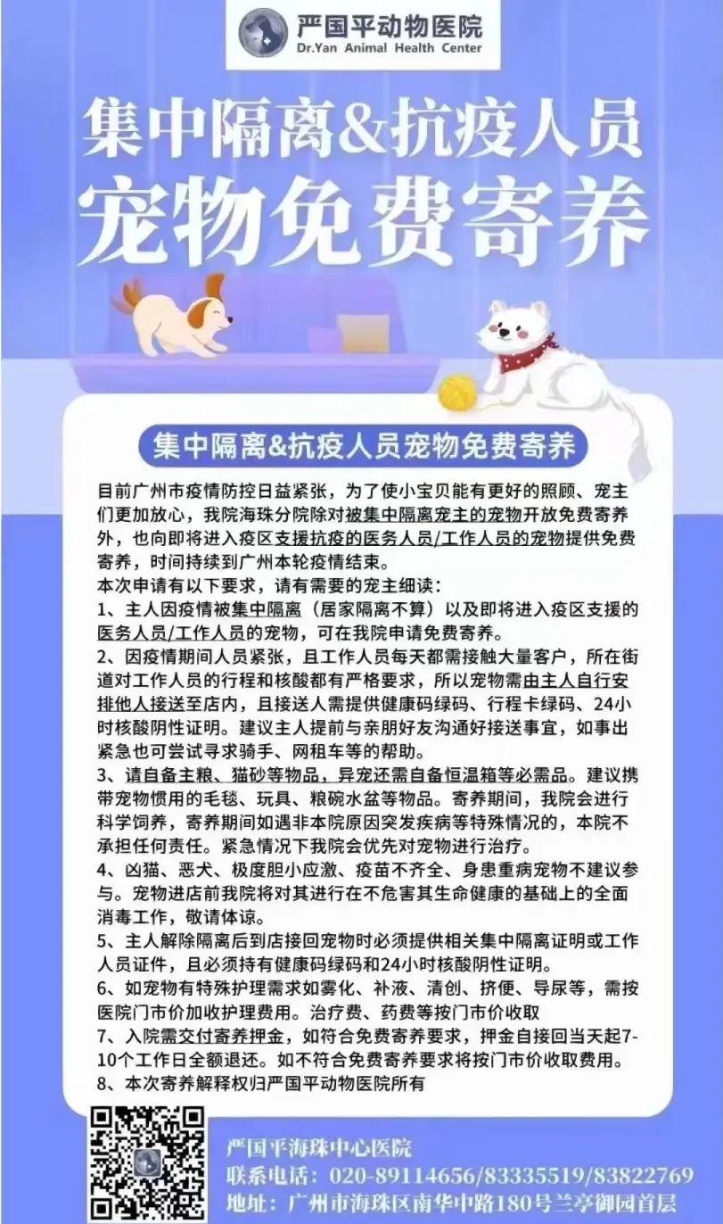 广州疫情封控不断加强，留守宠物谁来守护？