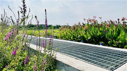 ▲中信环境技术在东源县打造人工湿地污水处理设施,与当地景观自然融合。