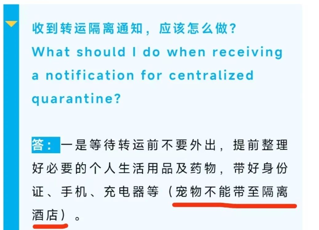 广州疫情封控不断加强，留守宠物谁来守护？