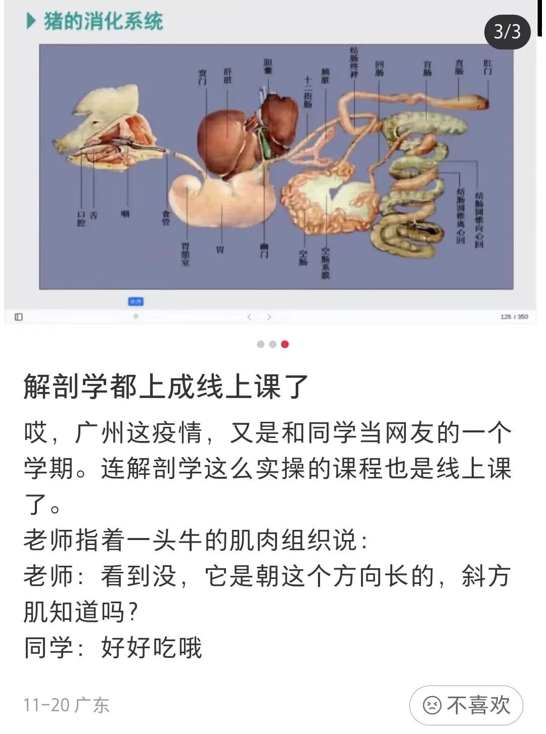 疫情下的大学生：封了，也“疯”了？