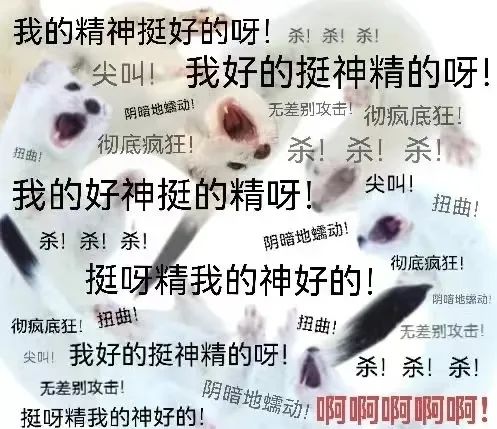 疫情下的大学生:封了,也“疯”了? 疫情下的大学生:封了,也“疯”了?