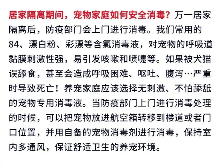 广州疫情封控不断加强，留守宠物谁来守护？