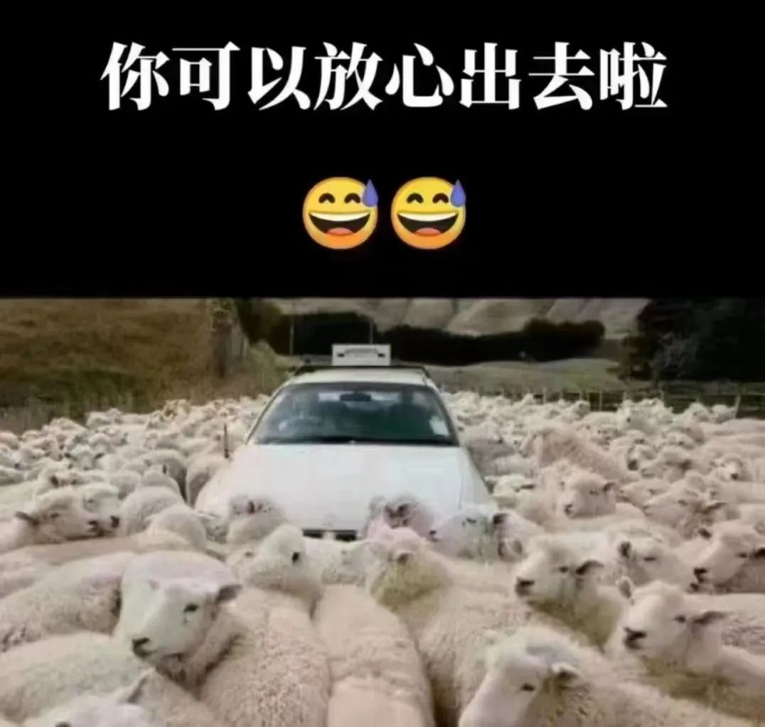 从ICU到KTV:这几天广州人经历了什么? 从ICU到KTV:这几天广州人经历了什么?