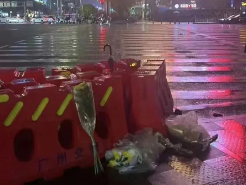 天河宝马男撞人事件:究竟是交通肇事,还是无差别杀人? 天河宝马男撞人事件:究竟是交通肇事,还是无差别杀人?