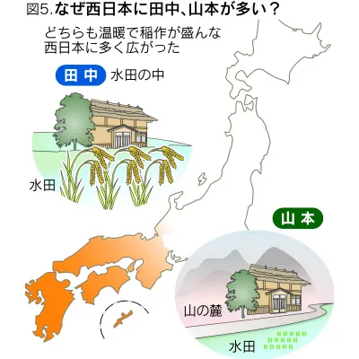 长崎舞浅静小姐和伊三南柳先生的爱情,只有广东人才懂 长崎舞浅静小姐和伊三南柳先生的爱情,只有广东人才懂