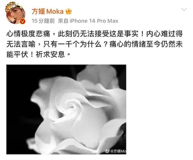 蔡天凤碎尸案:是现实版的《寄生上流》,还是另有隐情? 蔡天凤碎尸案:是现实版的《寄生上流》,还是另有隐情?