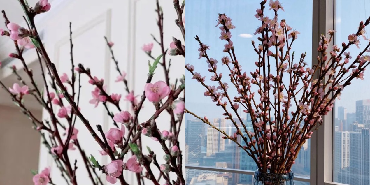 ▲桃花成春季热销花卉品类 (图源:美团优选用户实拍)