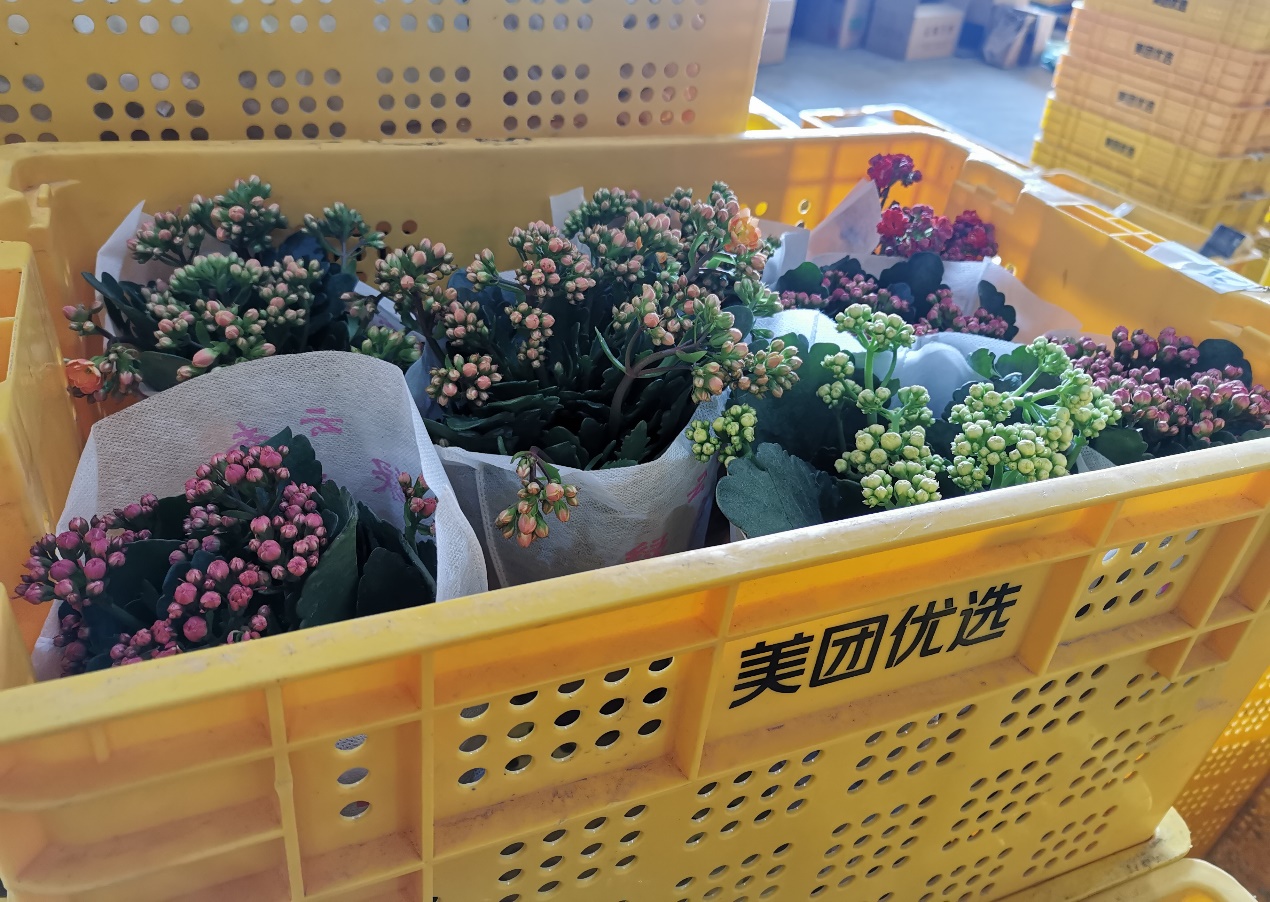 ▲线上鲜花消费经济旺盛 (图源:美团优选供图)