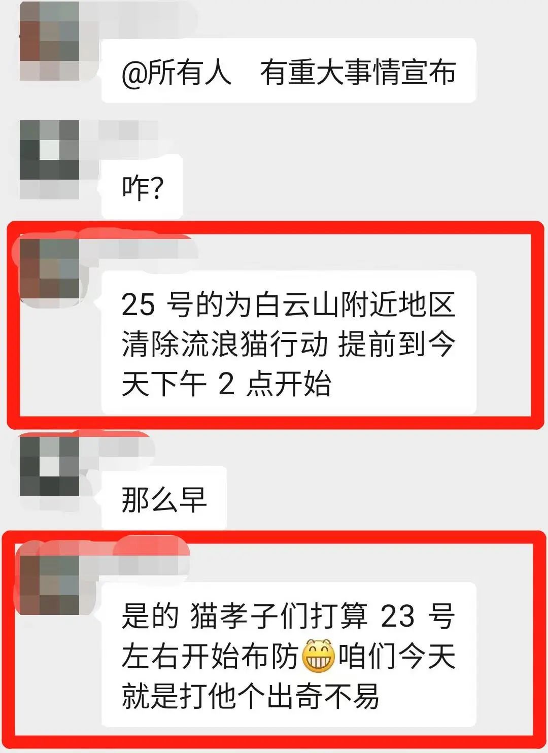 虐猫团伙预谋在广州公园下毒手，流浪猫命运如何？