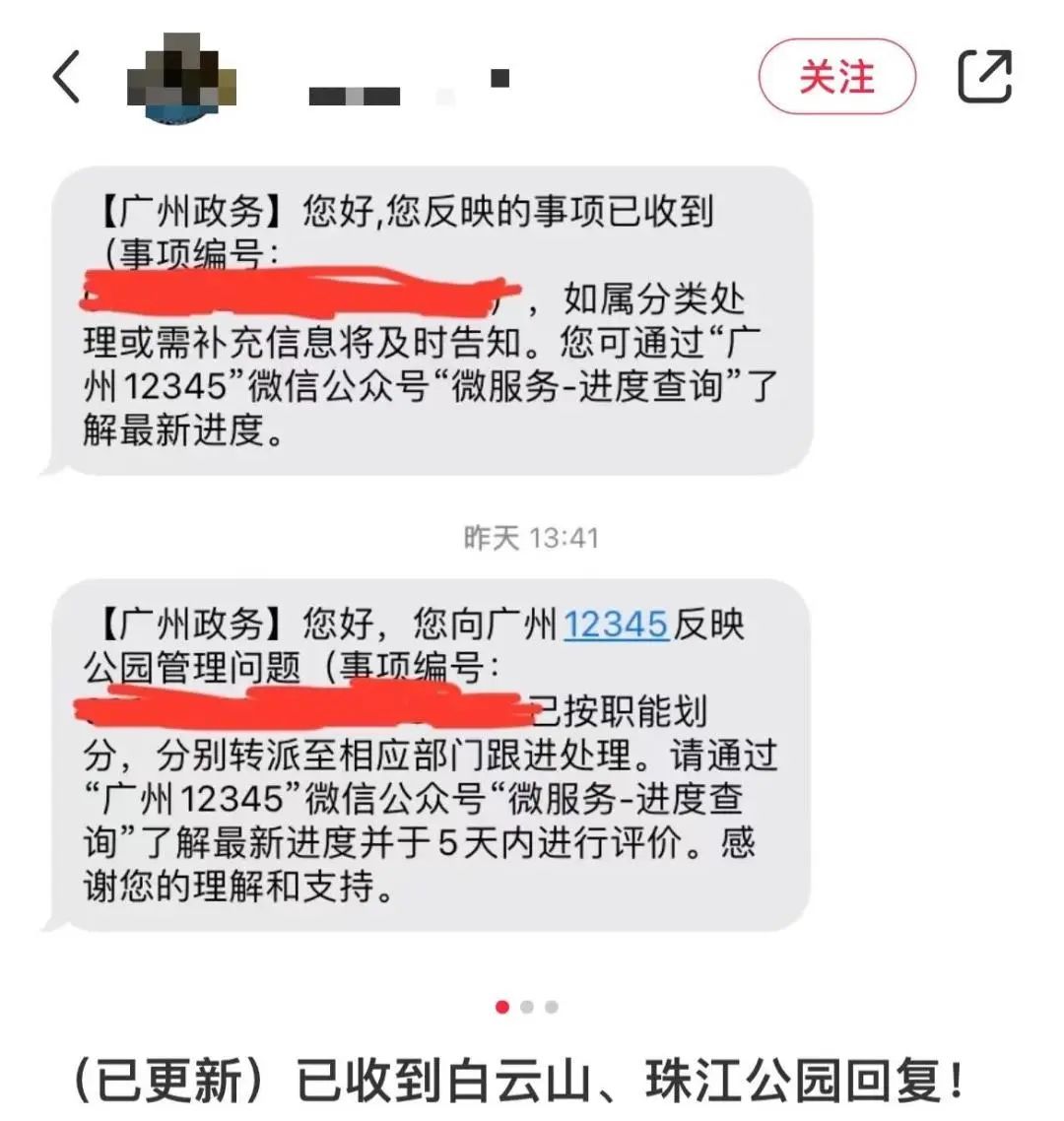 虐猫团伙预谋在广州公园下毒手，流浪猫命运如何？